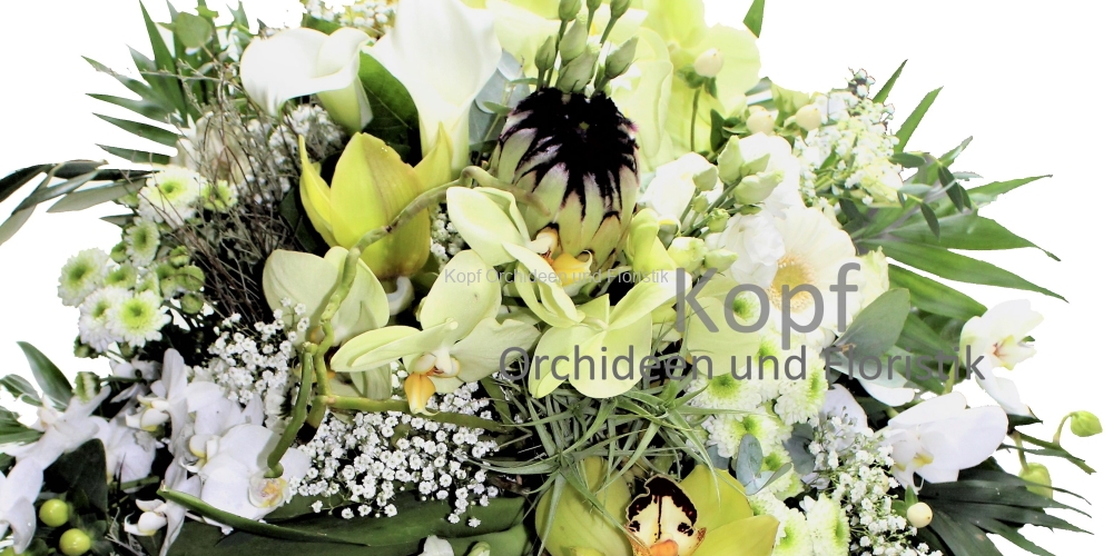 Flo_Sch_Str-2032_608_84w